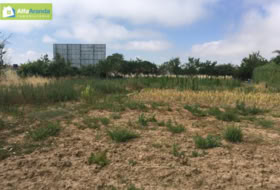 Aranda de Duero 1389&nbsp;m² 