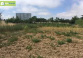 Xalet independent amb terreny en venda a la España, Aranda de Duero, ref.: TR298467 foto