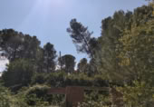 Land suitable for development for sale on España, Canaletes, ref: TR116141 photo