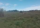 Detached villa with land for sale on España, La Palma del Condado, ref: TR297180 photo