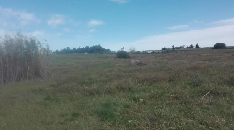 Huelva - La Palma del Condado - 26000m2