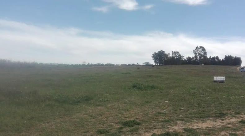 Huelva - La Palma del Condado - 26000m2