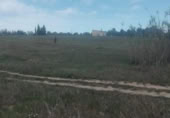Detached villa with land for sale on España, La Palma del Condado, ref: TR297180 photo