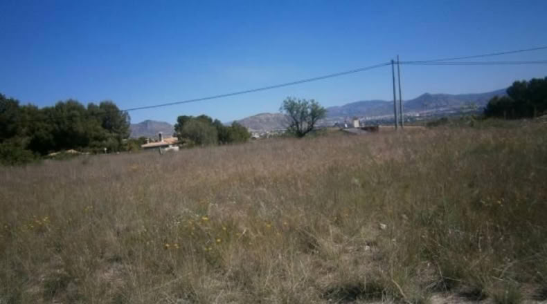 Alicante - Monóvar - 6500m2