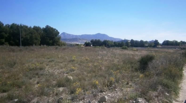 Alicante - Monóvar - 6500m2