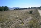 Terreny no urbanitzable en venda a la España, Monòver, ref.: TR122103 foto