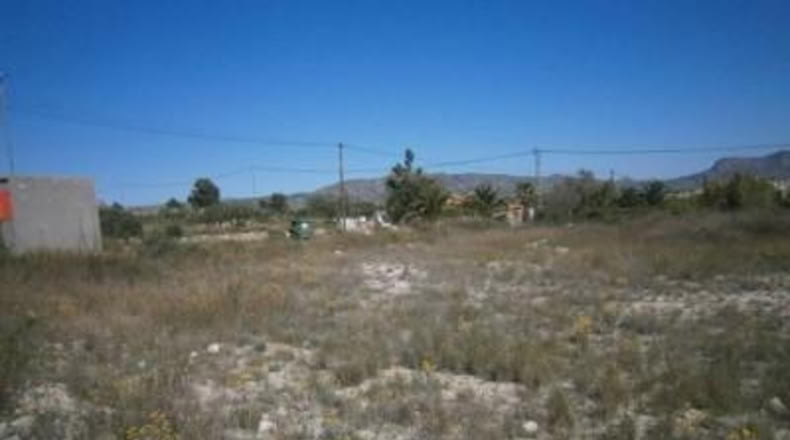 Alicante - Monóvar - 6500m2