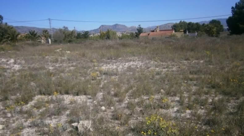 Alicante - Monóvar - 6500m2