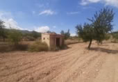 Land suitable for development for sale on España, Monóvar, ref: TR122139 photo
