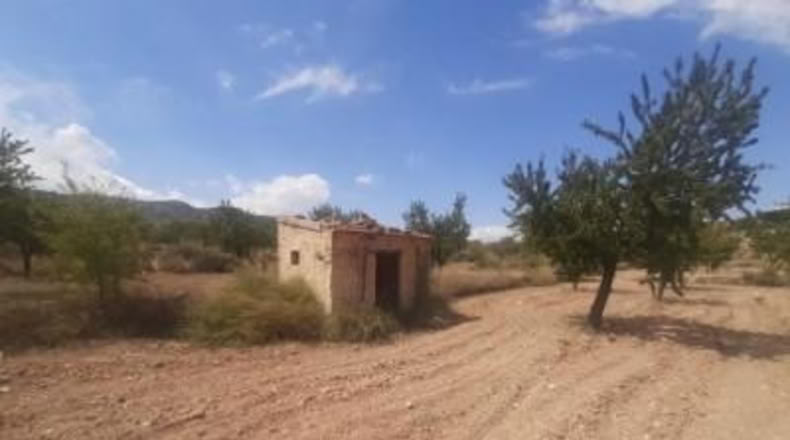 Alicante - Monóvar - 16000m2