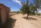 Land suitable for development for sale on España, Monóvar, ref: TR122139 photo