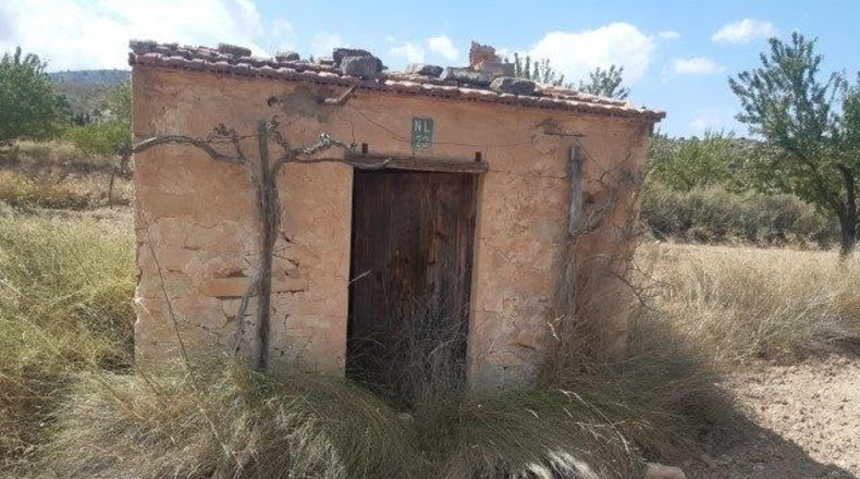 Alicante - Monóvar - 16000m2