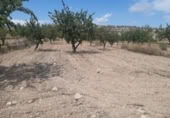 Land suitable for development for sale on España, Monóvar, ref: TR122139 photo