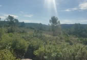 Sòl urbà en venda a la España, la Bisbal del Penedès, ref.: TR146136 foto
