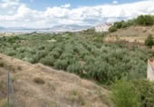 Non-developable land for sale on España, Villa de Otura, ref: TR238258 photo