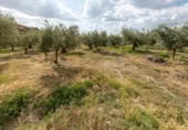 Non-developable land for sale on España, Villa de Otura, ref: TR238258 photo