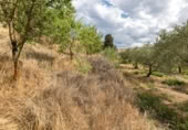 Non-developable land for sale on España, Villa de Otura, ref: TR238258 photo