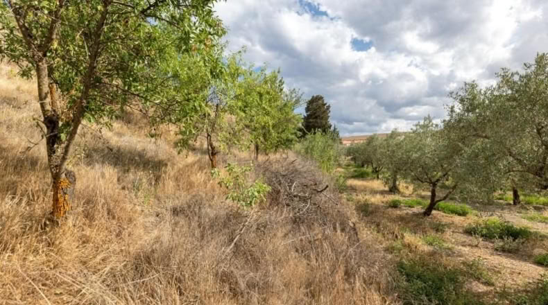 Granada - Villa de Otura - 3000m2