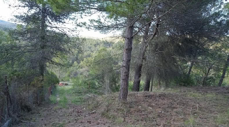 Tarragona - Querol - 1680m2