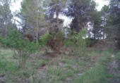 Parcela urbanizable en venta en la España, Santa Oliva, ref: TR122968 foto