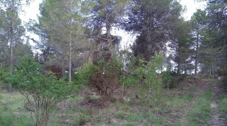 Tarragona - Querol - 1680m2