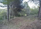 Parcela urbanizable en venta en la España, Santa Oliva, ref: TR122968 foto