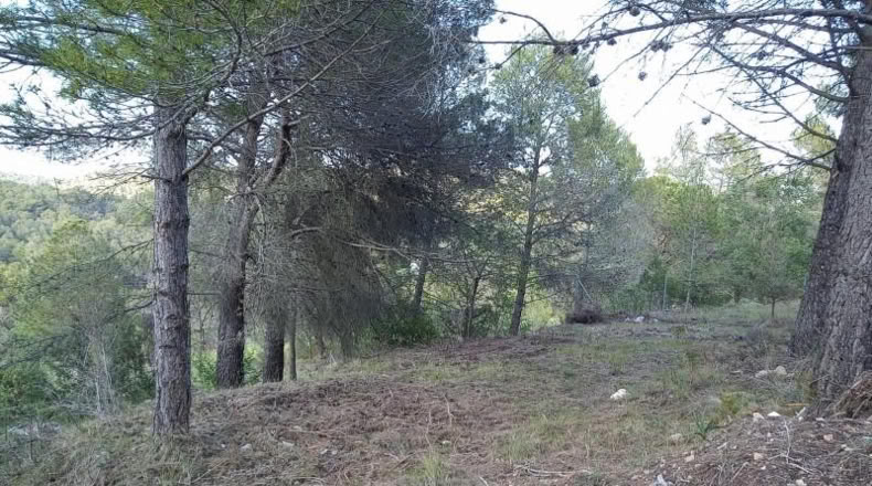 Tarragona - Querol - 1680m2