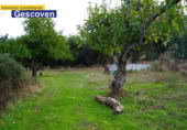 Xalet independent amb terreny en venda a la España, Valencia de Alcántara, ref.: TR295394 foto