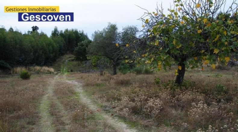 Cáceres - Valencia de Alcántara - 7200m2