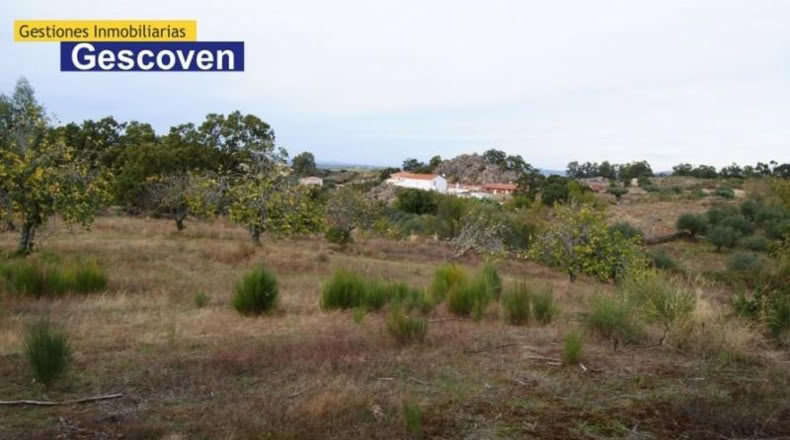 Cáceres - Valencia de Alcántara - 7200m2