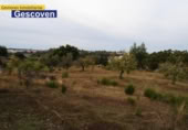 Xalet independent amb terreny en venda a la España, Valencia de Alcántara, ref.: TR295394 foto