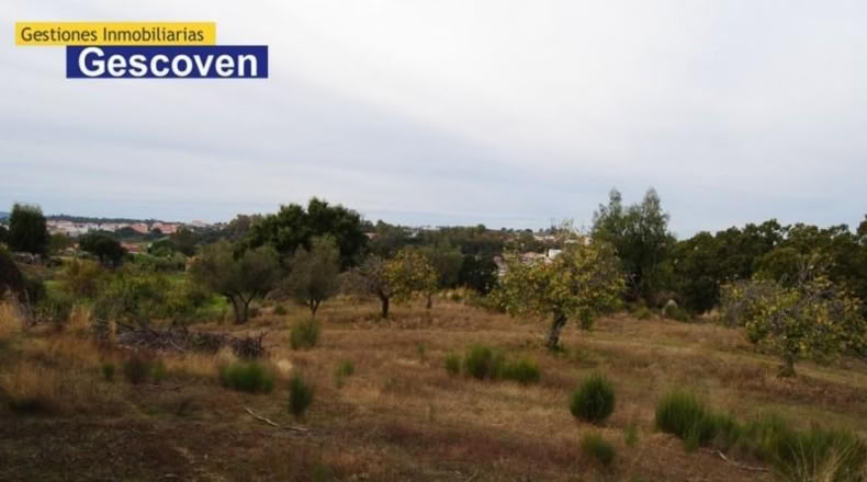 Cáceres - Valencia de Alcántara - 7200m2