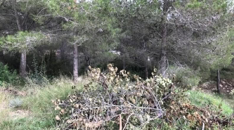 Barcelona - Canyelles - 474m2