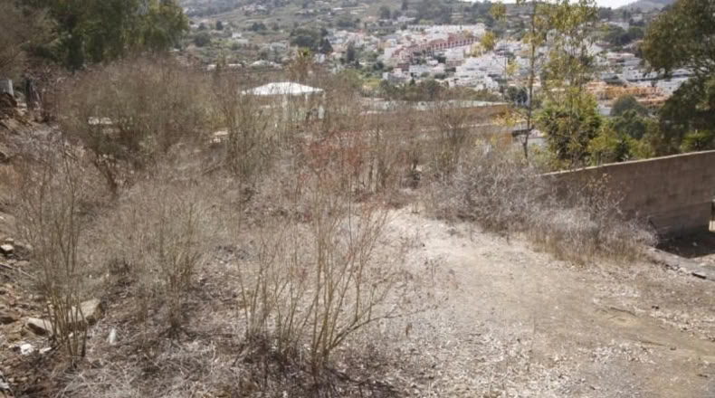 Las Palmas - Arucas - 220m2