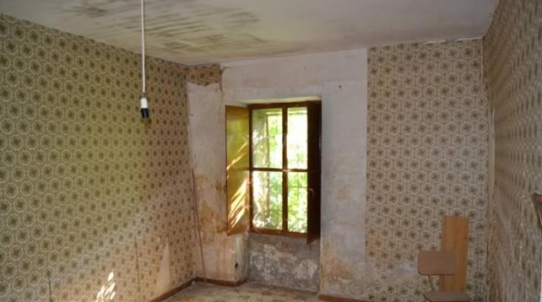 Cáceres - Malpartida de Plasencia - 291m2