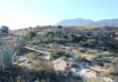 Casa de camp amb terreny en venda a la España, El Ejido, ref.: TR301253 foto
