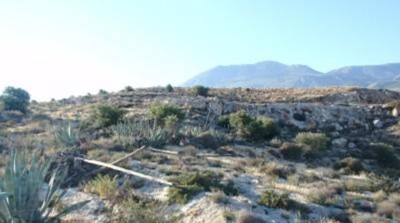 Almería - Эль-Эхидо - 33000m2