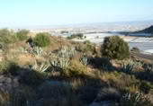 Casa de camp amb terreny en venda a la España, El Ejido, ref.: TR301253 foto