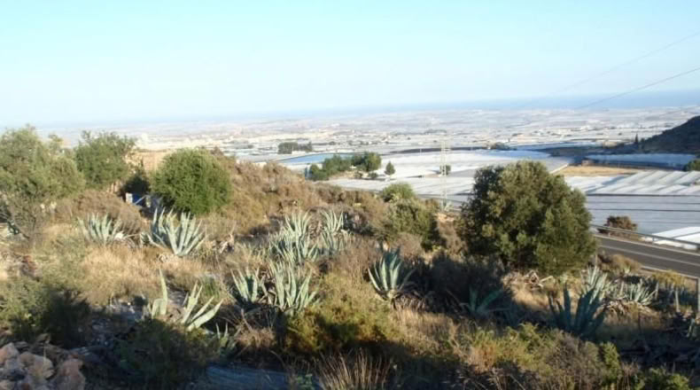 Almería - Эль-Эхидо - 33000m2