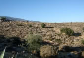 Casa de camp amb terreny en venda a la España, El Ejido, ref.: TR301253 foto