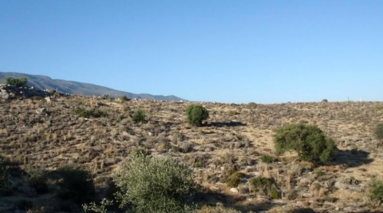 Almería - Эль-Эхидо - 33000m2