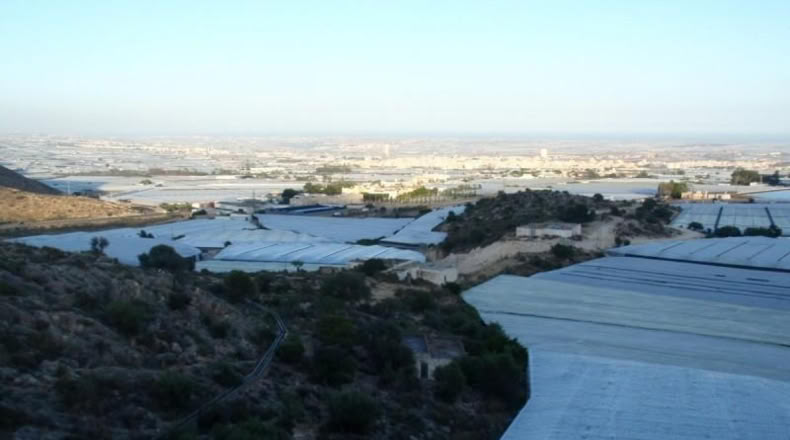 Almería - Эль-Эхидо - 33000m2