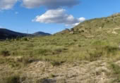 Xalet independent amb terreny en venda a la España, Petrer, ref.: TR300848 foto