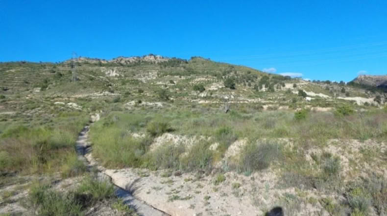 Alicante - Petrer - 89000m2