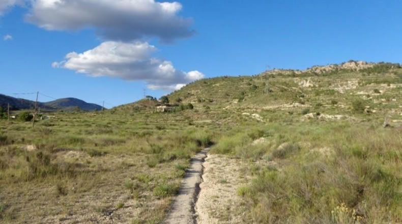 Alicante - Petrer - 89000m2
