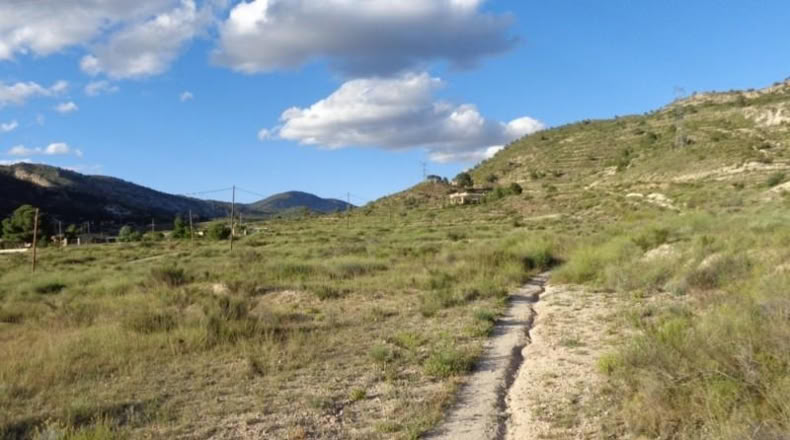 Alicante - Petrer - 89000m2