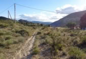 Xalet independent amb terreny en venda a la España, Petrer, ref.: TR300848 foto