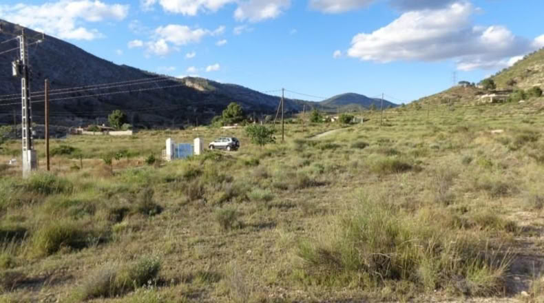 Alicante - Petrer - 89000m2