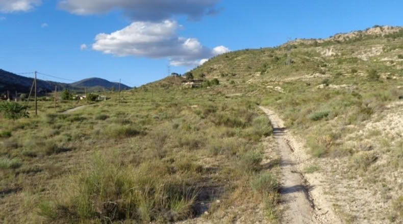 Alicante - Petrer - 89000m2