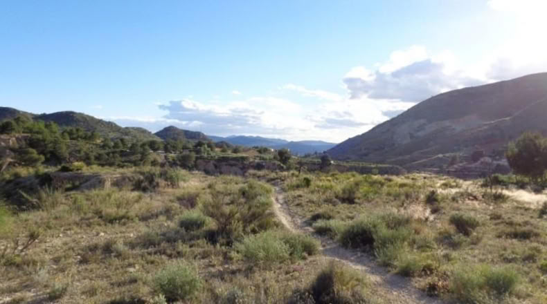 Alicante - Petrer - 89000m2